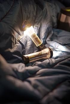 Amazon.com: Goal Zero Lighthouse Micro Charge Flashlight, USB