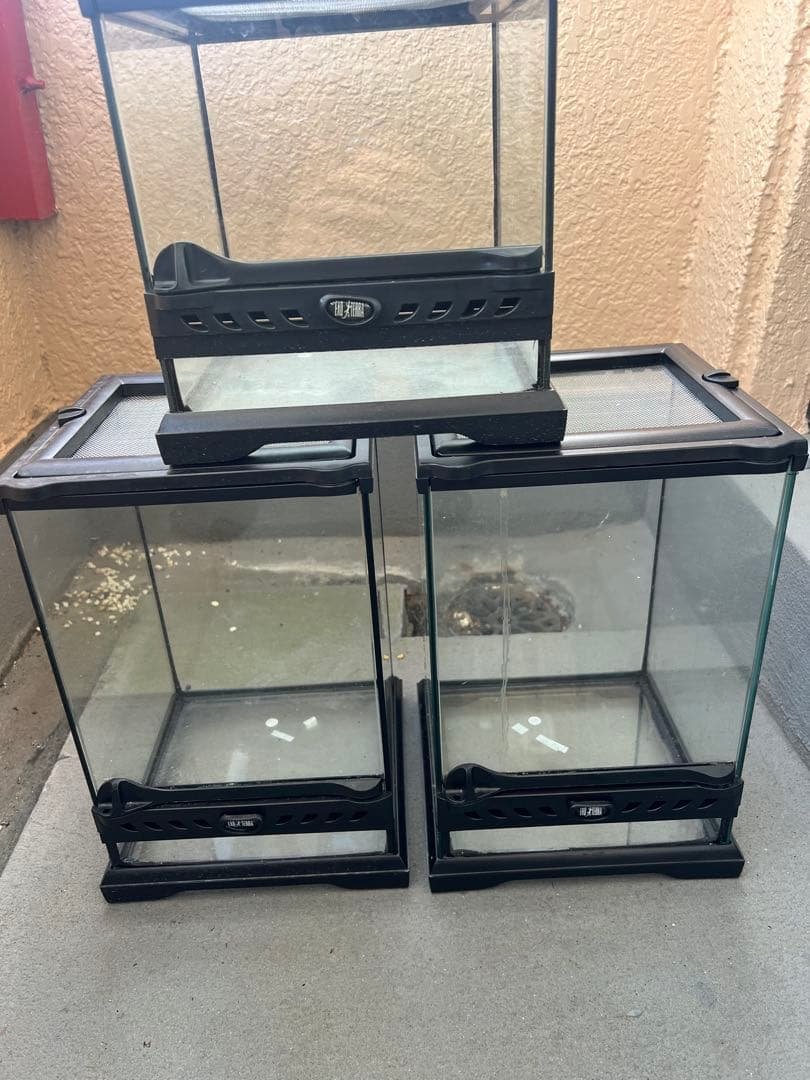 爬虫類　グラステラリウムナノ　セット Amazon | GEX EXOTERRA グラステラリウム ナノキューブ PT2599